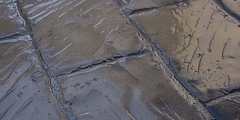 A Closeup View of Newly Stamped Concrete